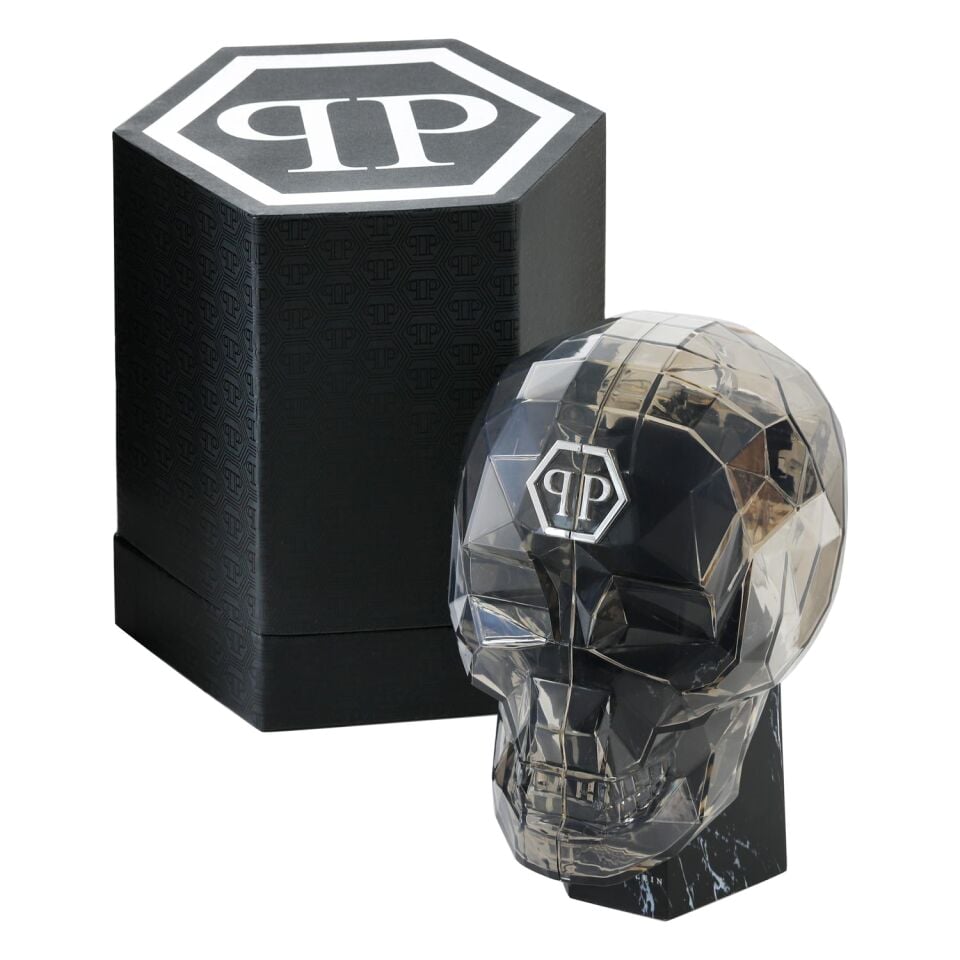 Philipp Plein PWAAA0121 Erkek Kol Saati