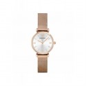 Emporio Armani AR1956 Bayan Kol Saati Emporio Armani AR1956 Bayan Kol Saati