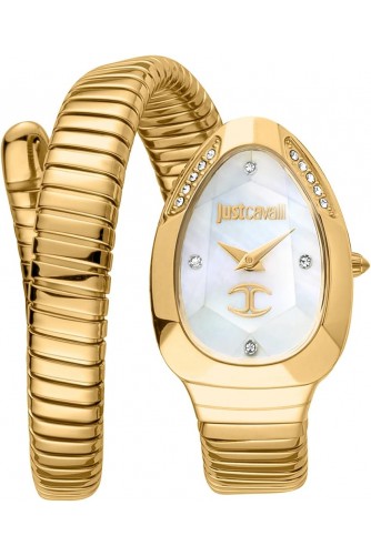 Just Cavalli JC1L229M0025 Kadın Kol Saati