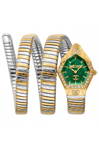 JUST CAVALLI JC1L304M0065 Kadın Kol Saati