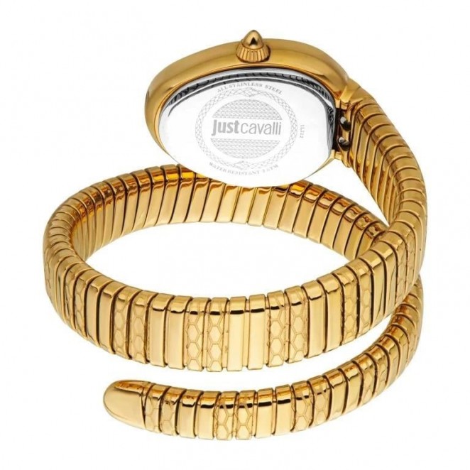 Just Cavalli JC1L222M0035 Kadın Kol Saati